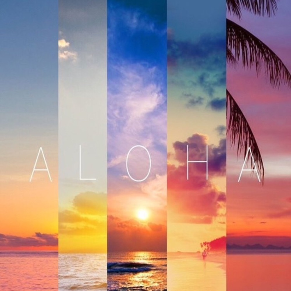 Meet your Posher, Eelsa